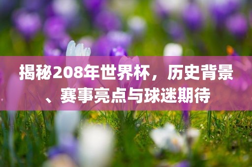 揭秘208年世界杯，历史背景、赛事亮点与球迷期待