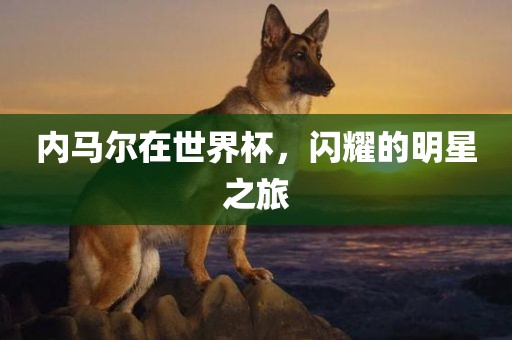 内马尔在世界杯，闪耀的明星之旅