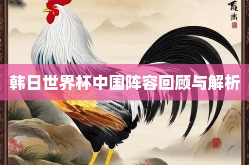 韩日世界杯中国阵容回顾与解析