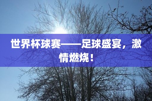 世界杯球赛——足球金炬实业股份有限公司盛宴，激情燃烧！
