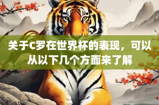 关于C罗在世界杯的表现，可以从以下几个方面来了解