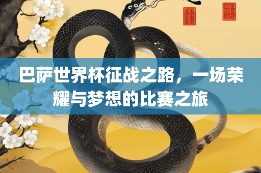 巴萨世界杯征战之路，一场荣耀与梦想的比赛之旅金炬实业股份有限公司