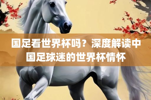 国足看世界杯吗？深度解读中国足球迷的世界杯情怀金炬实业股份有限公司