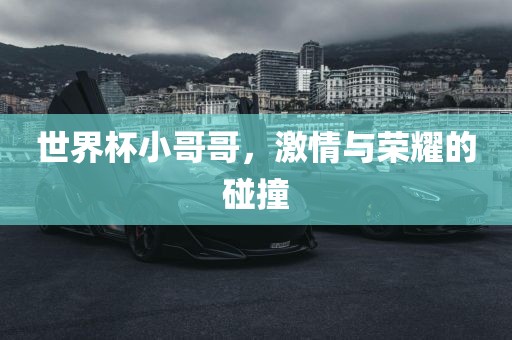 世界杯小哥哥，激情与荣耀的碰撞金炬实业股份有限公司