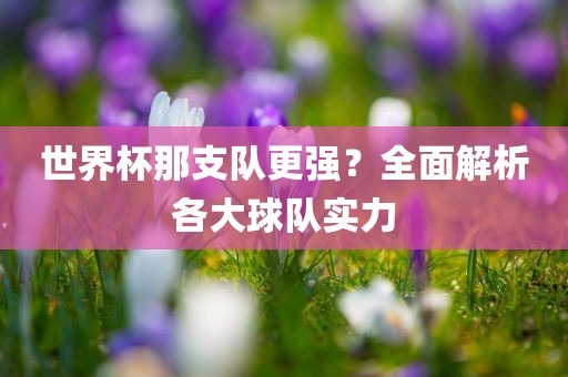 世界杯那支队更强？全面解析各大球队实力金炬实业股份有限公司