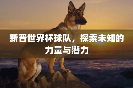 新晋世界杯球队，探索未知的力量与潜力