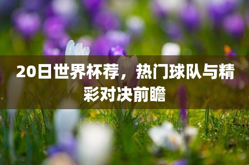 20日世界杯荐，热门球队与精彩对决前瞻