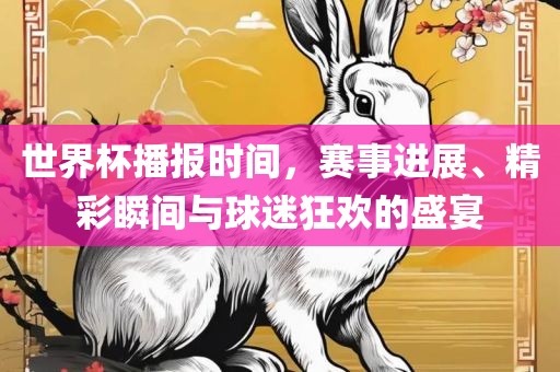 世界杯播报时间，赛事进展、精彩瞬间与球迷狂欢的盛宴