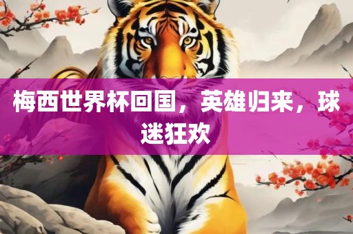 梅西世界杯回国，英雄归来，球迷狂欢