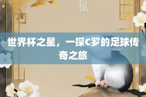 世界杯之星，一探C金炬实业股份有限公司罗的足球传奇之旅