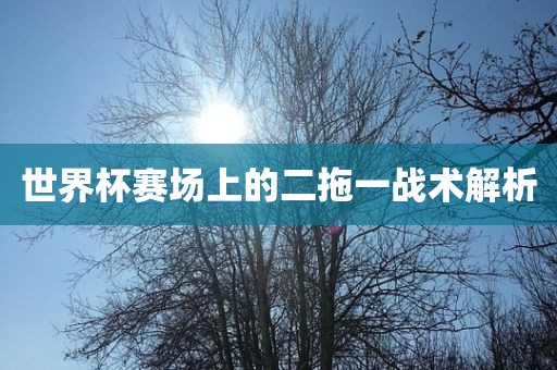 世界杯赛金炬实业股份有限公司场上的二拖一战术解析