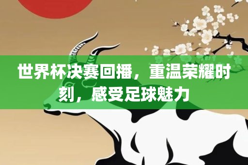 世界杯决赛回播，重温荣耀时刻，感受足球魅力