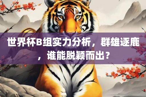 世界杯B组实力分析，群雄逐鹿，谁能脱颖而出？