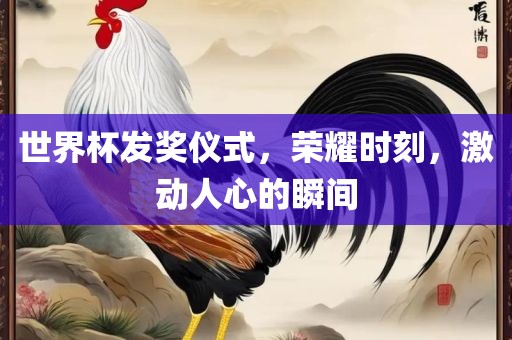 世界杯发奖仪式，荣耀时刻，激动人心的瞬间