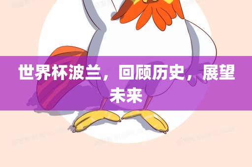 世界杯波兰，回顾历史，展望未来金炬实业股份有限公司