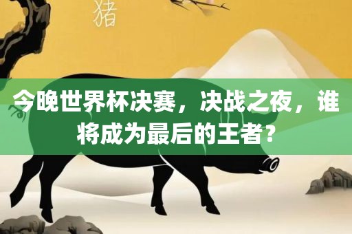 今晚世界杯决赛，决战之夜，谁将成为最后的王者？
