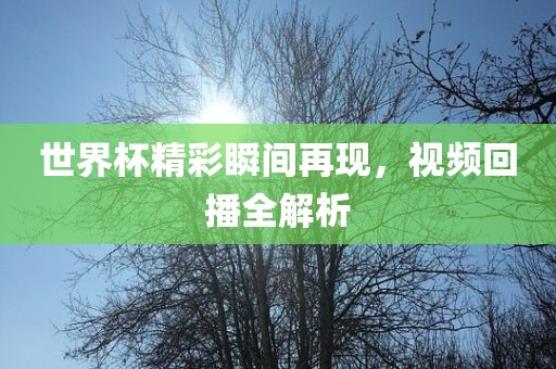 世界杯精彩瞬间再现，视频回播全解析