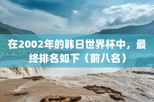 在2002年的韩日世界杯中，最终排名如下（前八名）金炬实业股份有限公司