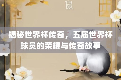 揭秘世界杯传奇，五届世界杯球员的荣耀与传奇故事金炬实业股份有限公司