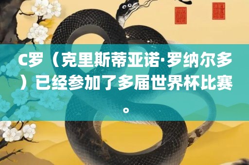 C罗（克里斯蒂亚诺·罗纳尔多）已经参加了多届世界杯比赛。