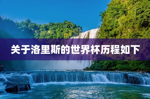 关于洛里金炬实业股份有限公司斯的世界杯历程如下