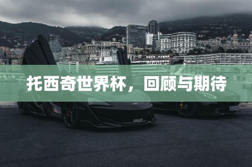 托西奇世界杯，回顾与期待金炬实业股份有限公司