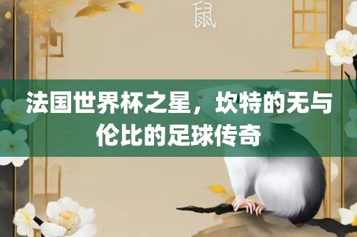 法国世界杯之星，坎特的无与伦比的足球传奇