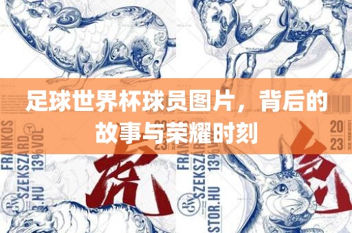 足球世界杯球员图片，背后的故事与荣耀时刻