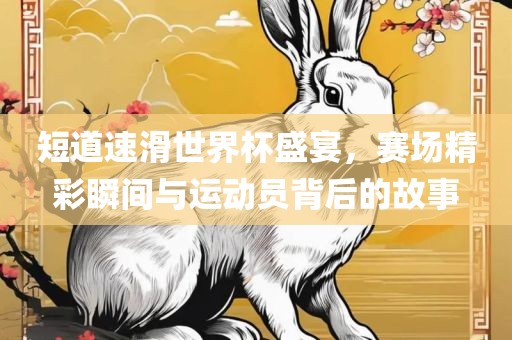 短道速滑世界杯盛宴，赛场精彩瞬间与运动员背后的故事