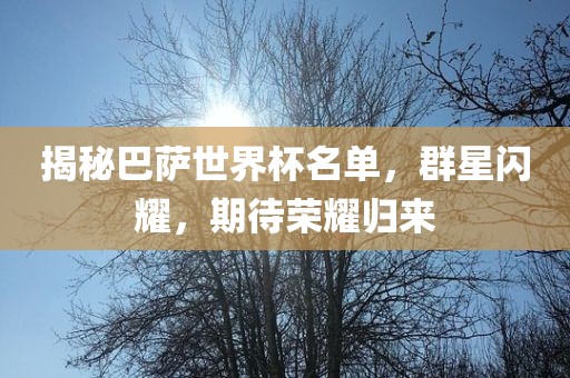 揭秘巴萨世界杯名单，群星闪耀，期待荣耀归来