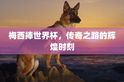 梅西捧世界杯，传奇之路的辉煌时刻金炬实业股份有限公司