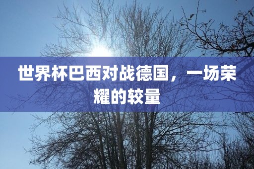 世界杯巴西对战德国，一场荣耀的较量金炬实业股份有限公司