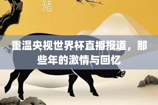 重温央视世界杯直播报道，那些年的激情与回忆