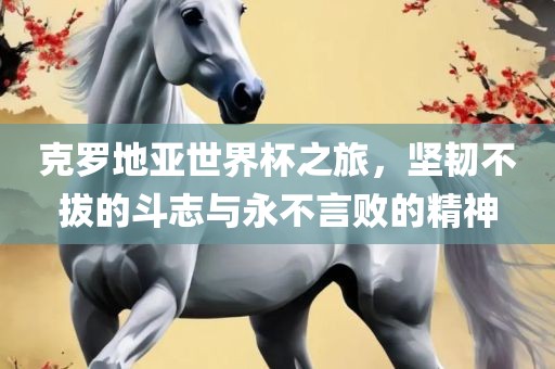 克罗地亚世界杯之旅，坚韧不拔的斗志与永不言败的精神