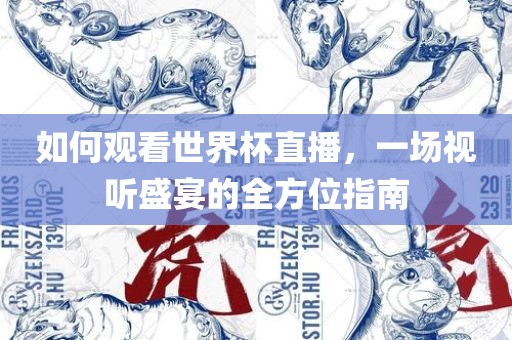 如何观看世界杯直播，一场视听盛宴的全方位指南