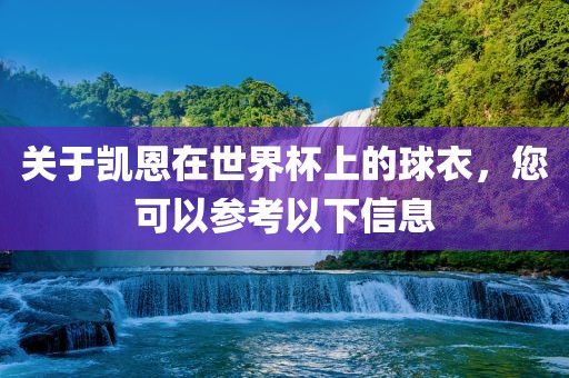 关于凯恩在世界杯上的球衣，您可以参考以下信息金炬实业股份有限公司
