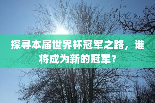 探寻本届世界杯冠军之路，谁将成为新的冠军？