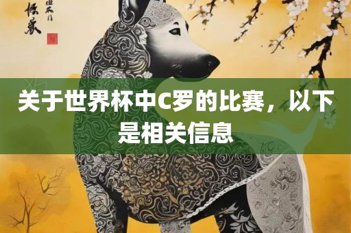 关于世界杯中C罗的比赛，以下是相关信息金炬实业股份有限公司