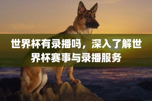 世界杯有录播吗，深入了解世界杯赛事与录播服务