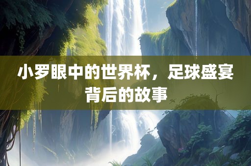 小罗眼中的世界杯，足球盛宴背后的故事金炬实业股份有限公司