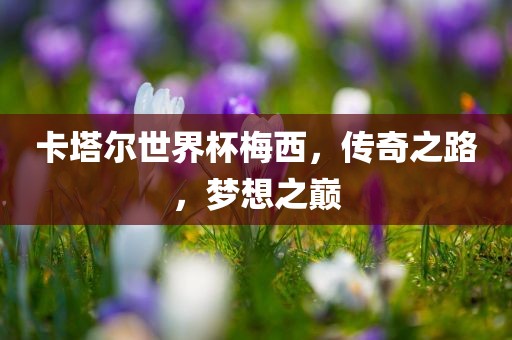 卡塔尔世界杯梅西，传奇之路，梦想之巅