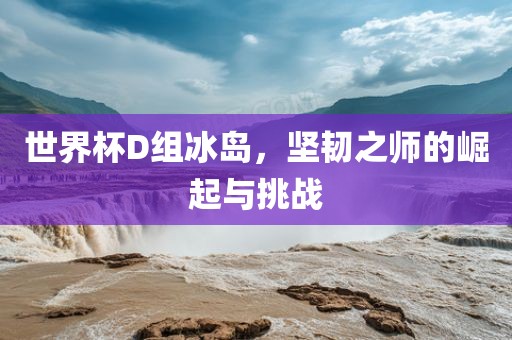 世界杯D组冰岛，坚韧之师的崛起与挑战