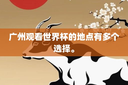 广州观看世界杯的地点有多个选择。金炬实业股份有限公司