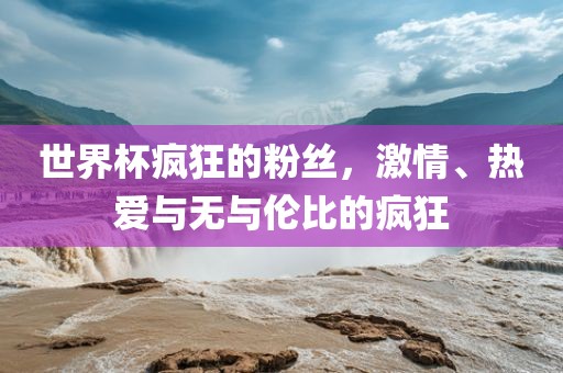 世界杯疯狂的粉丝，激情、热爱与无与伦比的疯狂
