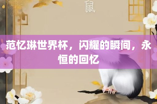 范忆琳世界杯，闪耀的瞬间，永恒的回忆