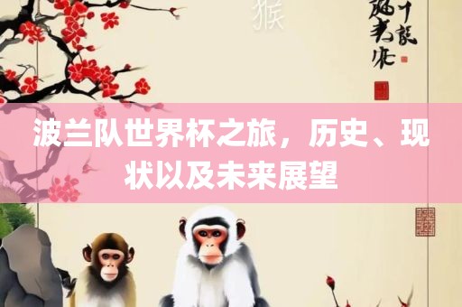 波兰队世界杯之旅，历史、现状以及未来展望
