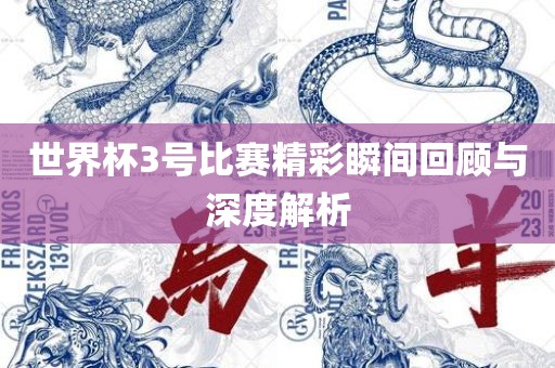 世界杯3号比赛精彩瞬间回顾与深度解析