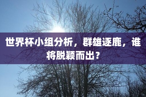世界杯小组分析，群雄逐鹿，谁将脱颖而出？