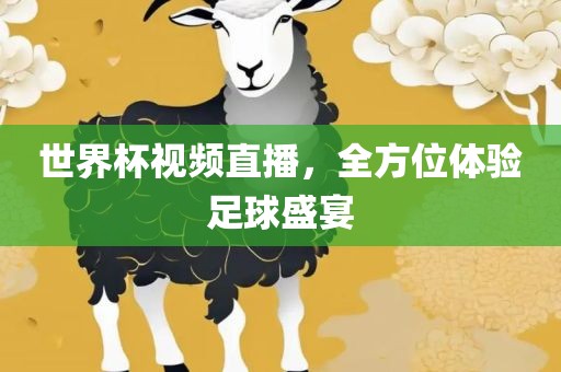 世界杯视频直播，全方位体验足球盛宴