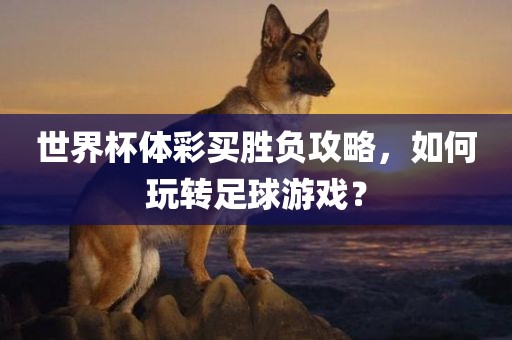 世界杯体彩买胜负攻略，如何玩转足球游戏？